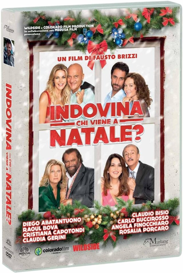 Indovina chi viene a Natale? (2013)