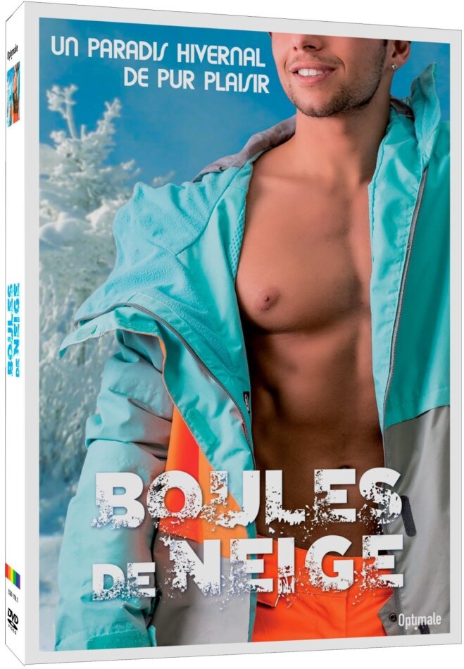 Boules de neige - Un paradis hivernal de pur plaisir