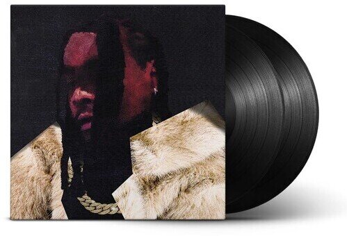 Wale - Everything Is A Lot. 2 LPs