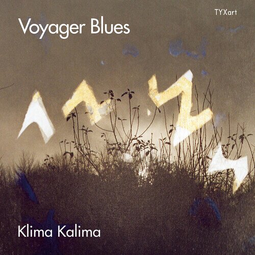 Klima Kalima, Oliver Potratz, Oliver Steidle & Kalle Kalima - Voyager Blues