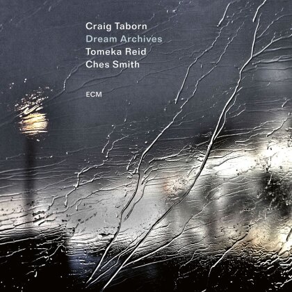 Craig Taborn, Tomeka Reid & Ches Smith - Dream Archives