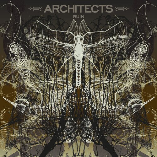 Architects (Metalcore) - Ruin 2026 Reissue, Arising Empire Label, Limited Edition, Picture Disc, LP