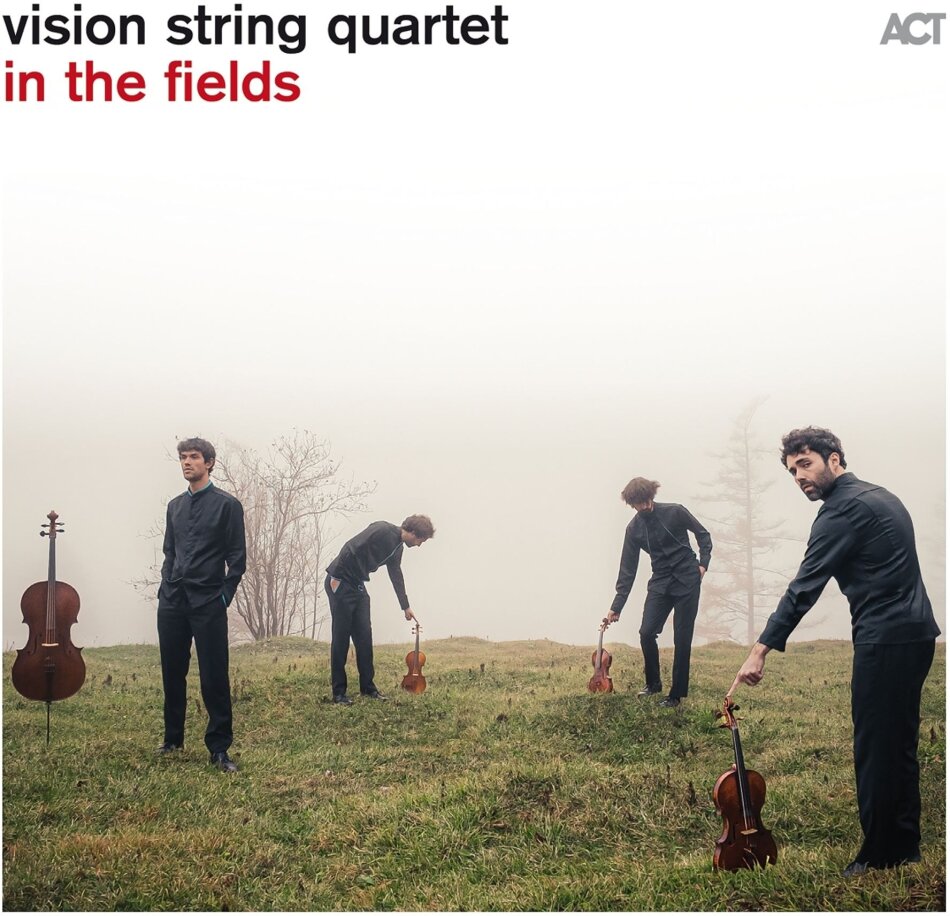 Vision String Quartet - In The Fields