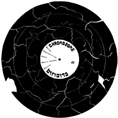 Chromosome - --- 12" Maxi