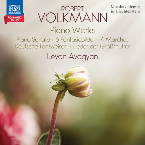 Robert Volkmann & Levon Avagyan - Piano Works