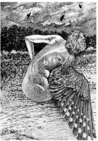 Patrick Lysaght - For The Birds LP