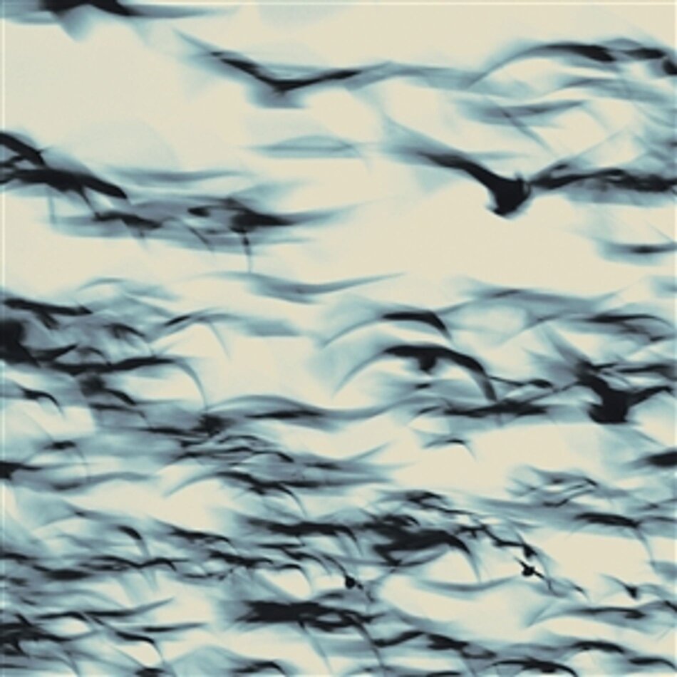 Bellbird - The Call LP