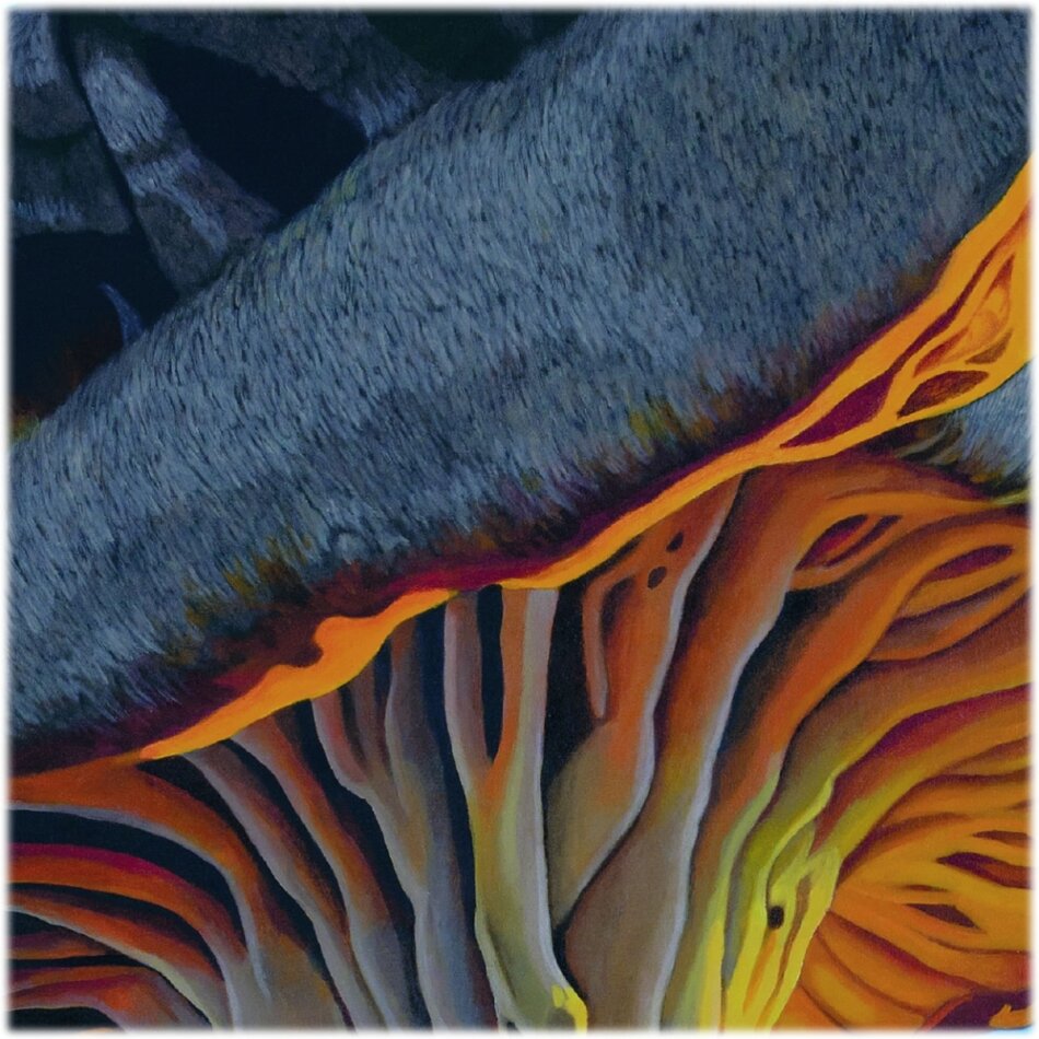 Tout Bleu - You Are Tree LP