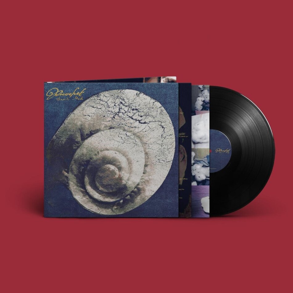 Snail Mail - Ricochet LP