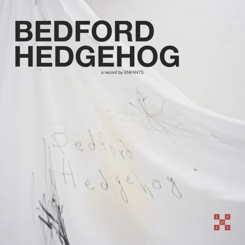 Enfants - Bedford Hedgehog