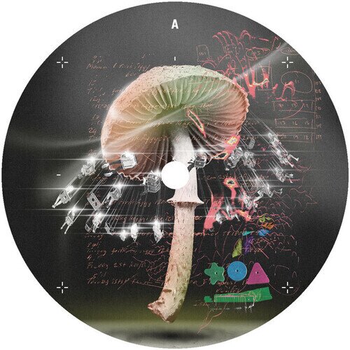 Lusu - Move 2 The Groove 12" Maxi