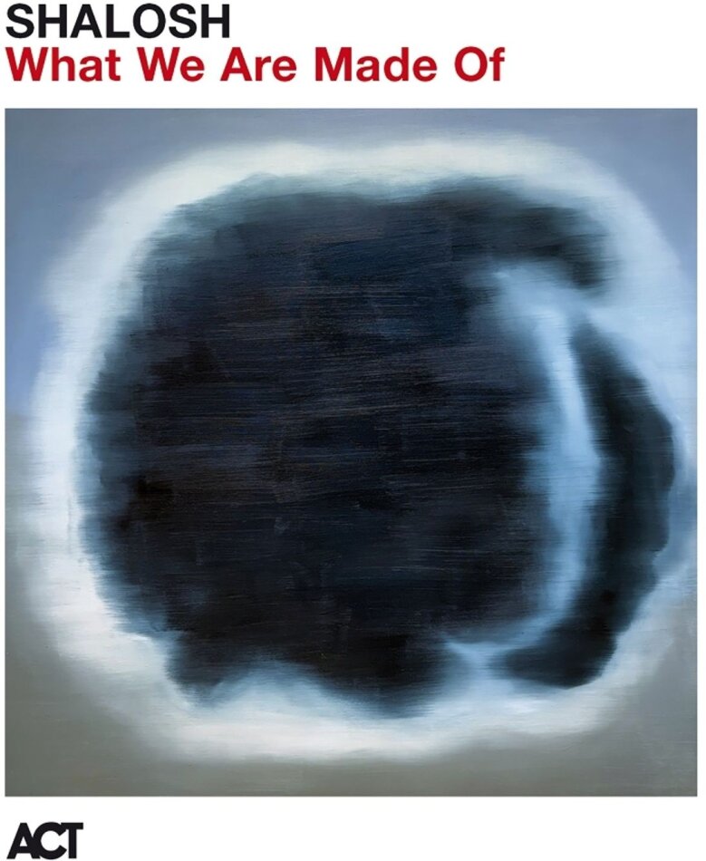 Shalosh - What We Are Made Of