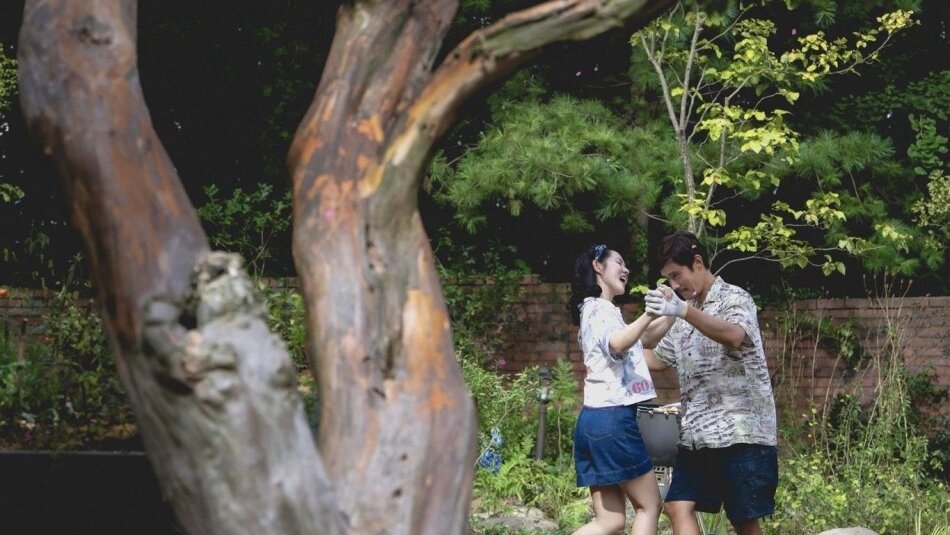 No Other Choice (2025) Limited Collector's Edition, 4K Ultra HD + Blu-ray