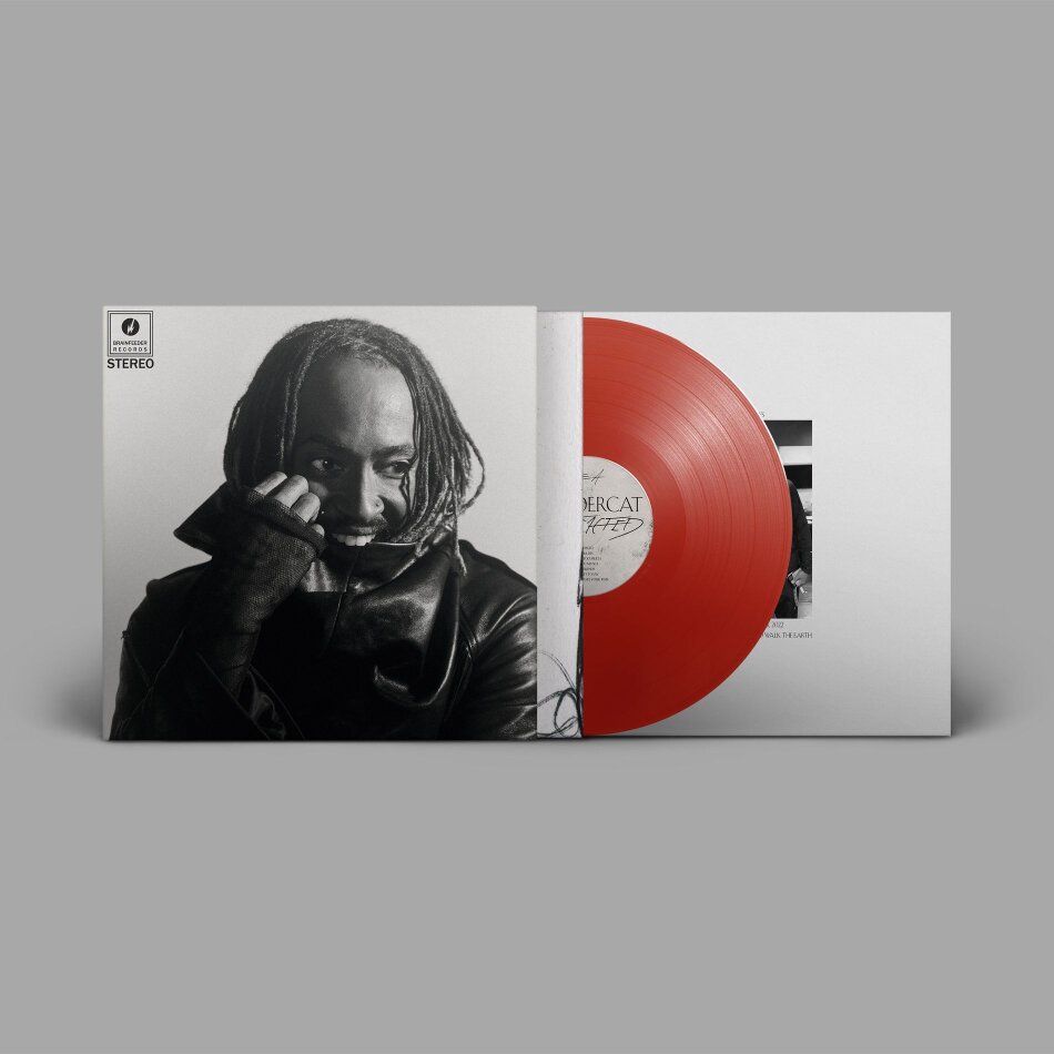 Thundercat - Distracted Red Vinyl, LP